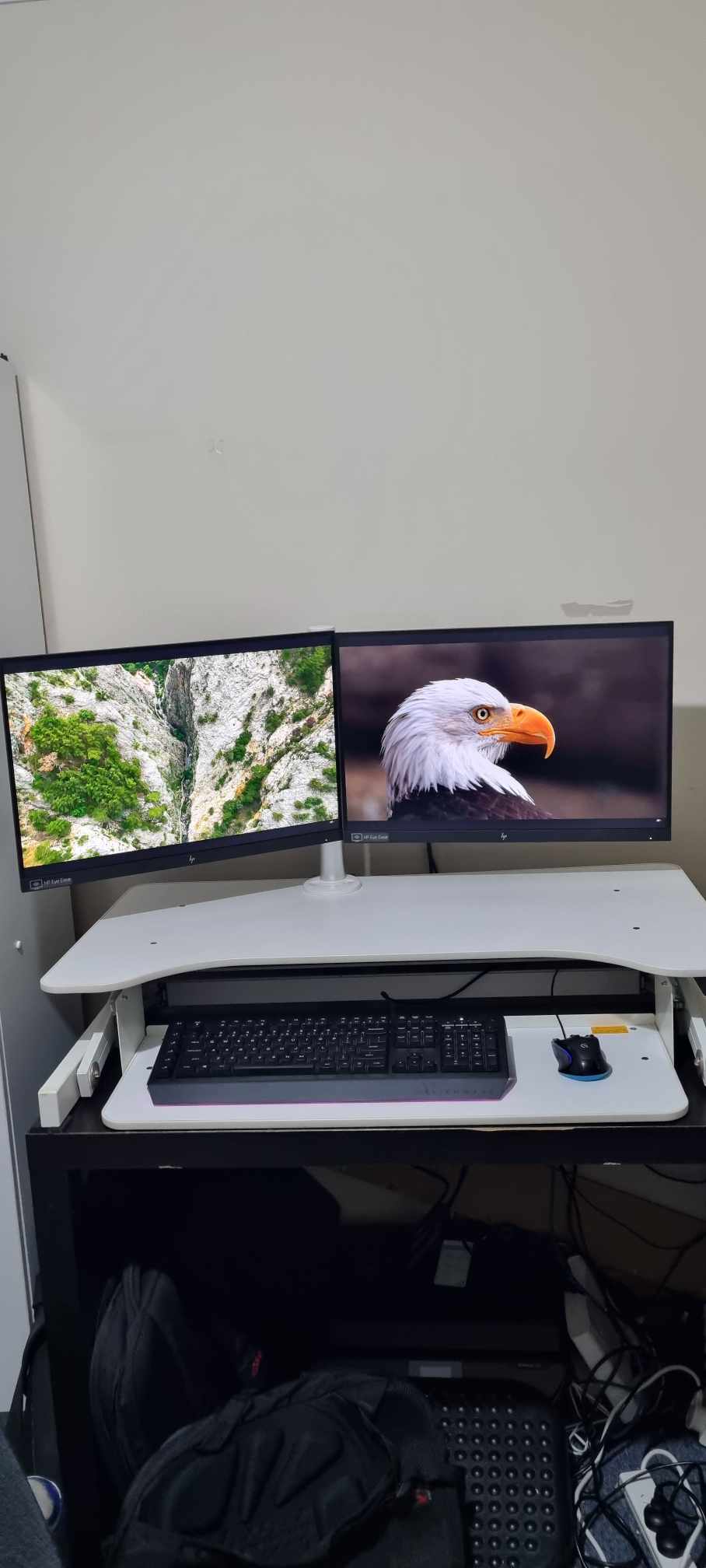 Set of Two HP EliteDisplay E24i G4 Monitors with Dual Monitor Arm – Complete Bundle (Second-Hand)