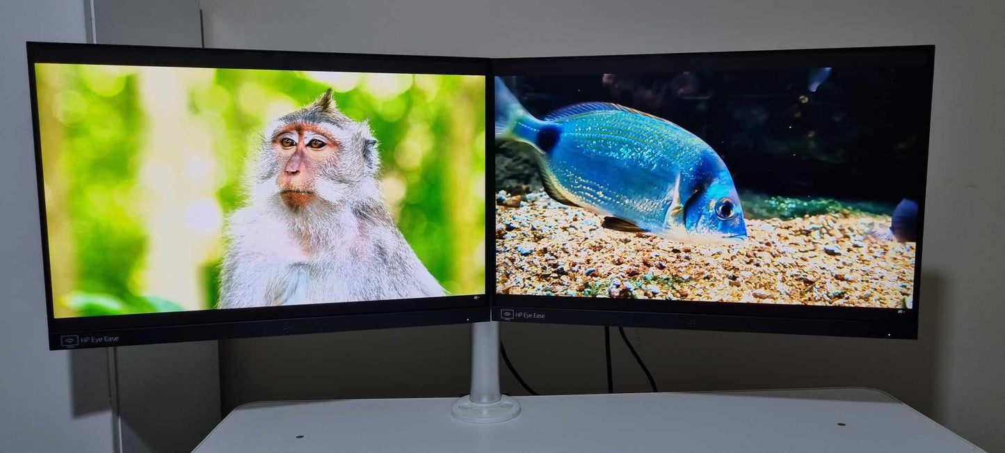 Set of Two HP EliteDisplay E24i G4 Monitors with Dual Monitor Arm – Complete Bundle (Second-Hand)